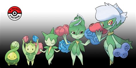 budew serebii|what does budew evolve into.